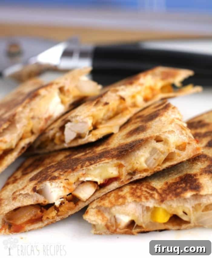 Chicken Tender Quesadilla with Zesty Sun-Dried Tomato Chutney 3 img 10480 5