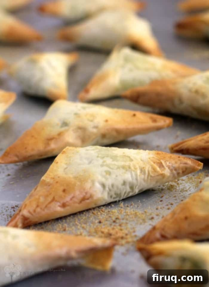 Spanakopita Pizza 12 Pizza Spanikopita