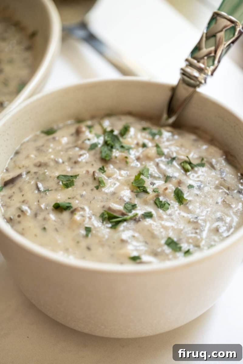 Velvety Mushroom Mascarpone Soup 2 Creamy Mushroom Mascarpone Soup in a rustic bowl, garnished with fresh herbs.