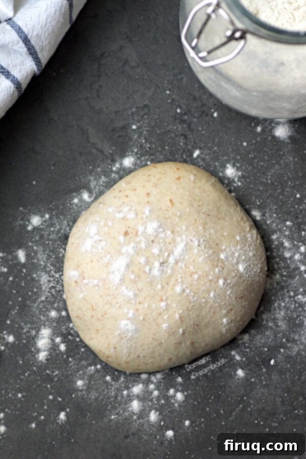 Resting Pizza Dough A single ball of homemade pizza dough, lightly dusted with flour, showcasing its smooth texture and elasticity after rising.