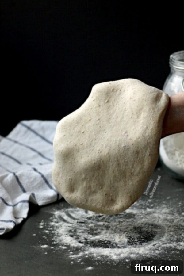 Shaping Pizza Dough Hands gently holding a perfectly round, risen ball of homemade pizza dough, ready to be stretched and topped.