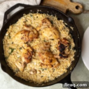 One-Pan Cast Iron Lemon Chicken Orzo 11 Charred chicken thighs over a bed of creamy orzo.