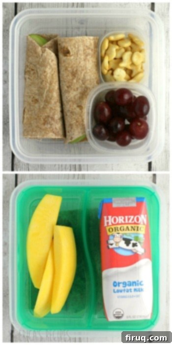 7 Healthier Lunch Ideas for Kids 2 Peanut Butter and Apple Wrap for Kids Lunch
