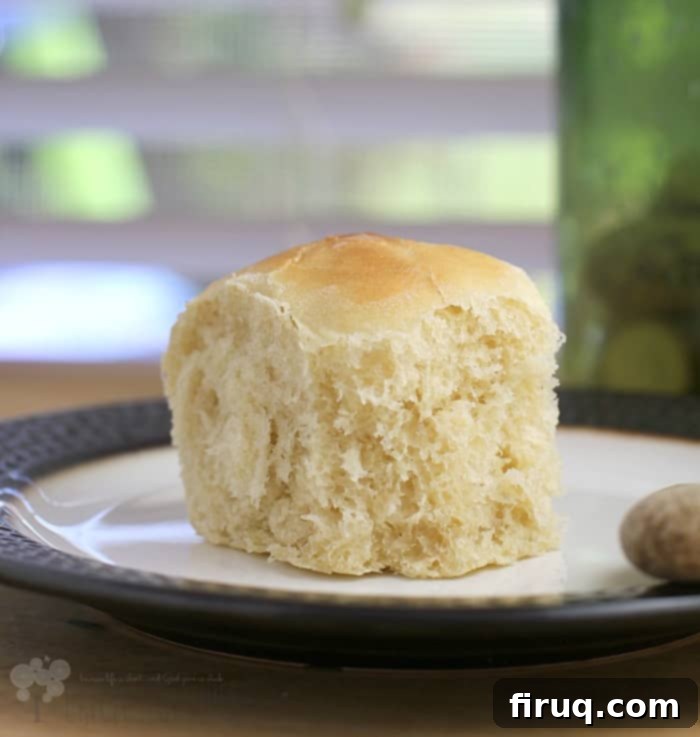 Aloha Sweet Vegan Buns 3 Vegan Hawaiian Sweet Rolls http://wp.me/p4qC4h-3rL