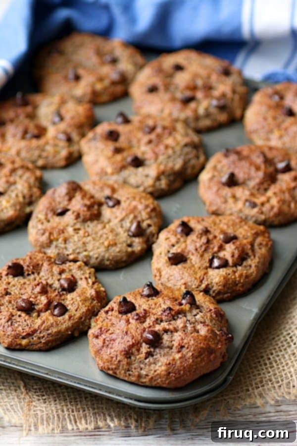 Healthy Banana Chocolate Chip Bran Muffins Freshly baked Banana Chocolate Chip Bran Muffins cooling in a muffin pan, showcasing their golden-brown tops and inviting texture.