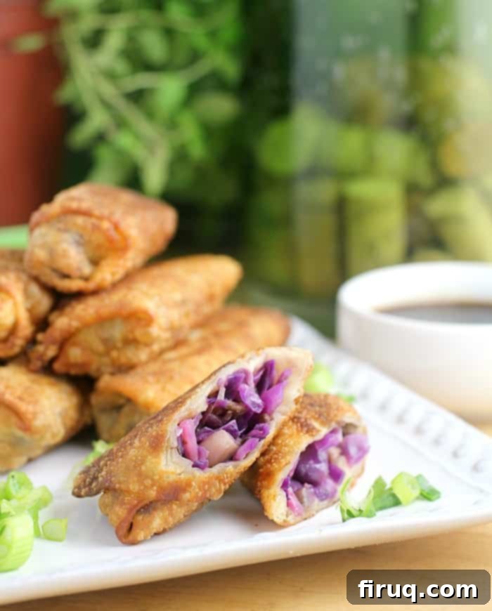 Zesty Red Cabbage and Radish Spring Rolls 2 Red Cabbage and Radish Spring Rolls - a fantastic vegetarian appetizer for any occasion.
