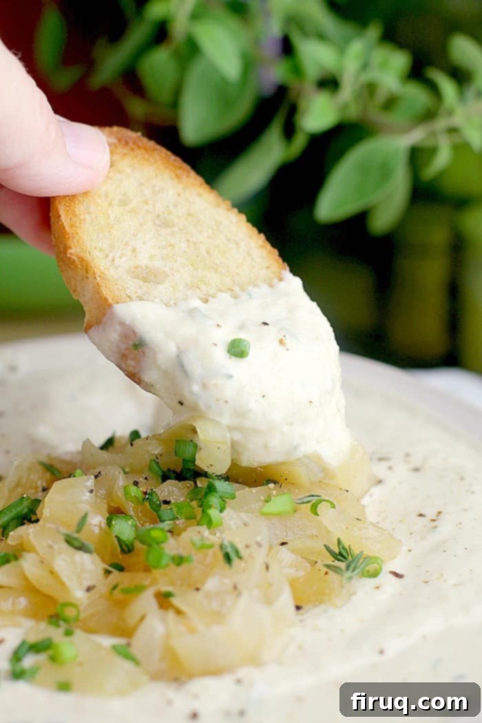 Irresistible Vegan Caramelized Onion Dip 6 Vegan Caramelized Onion Dip