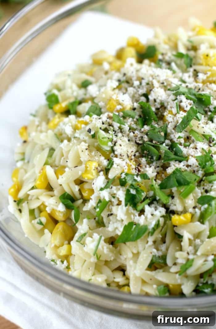 Zesty Orzo and Roasted Corn Salad 5 Lemony Orzo and Roasted Corn Salad with fresh herbs