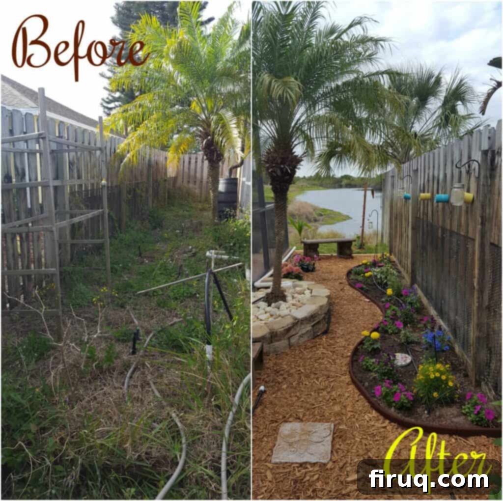 From Barren Patch to Bee Utopia 2 My Garden Transformation: From Trainwreck to Bee Haven