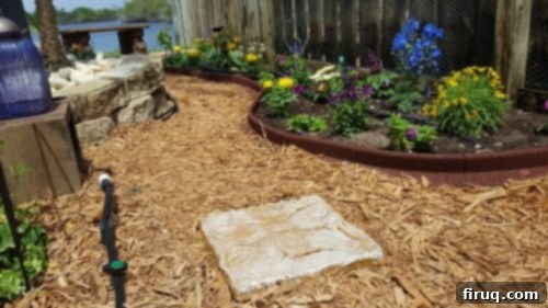 From Barren Patch to Bee Utopia 11 My Garden Transformation: From Trainwreck to Bee Haven