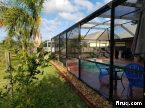 From Barren Patch to Bee Utopia 15 My Garden Transformation: From Trainwreck to Bee Haven