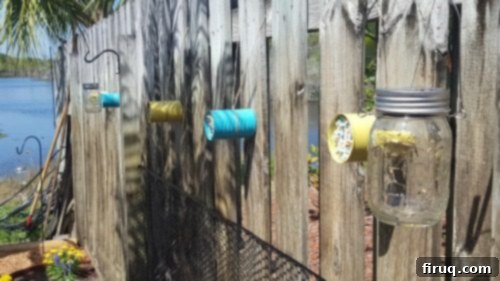 From Barren Patch to Bee Utopia 16 My Garden Transformation: From Trainwreck to Bee Haven