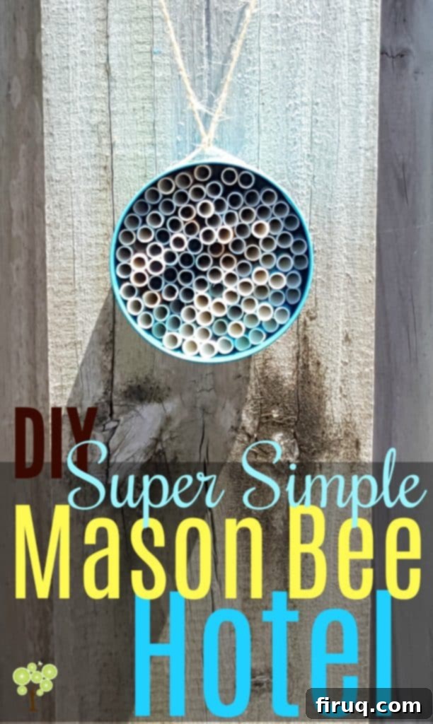 From Barren Patch to Bee Utopia 24 DIY Bee Hotel