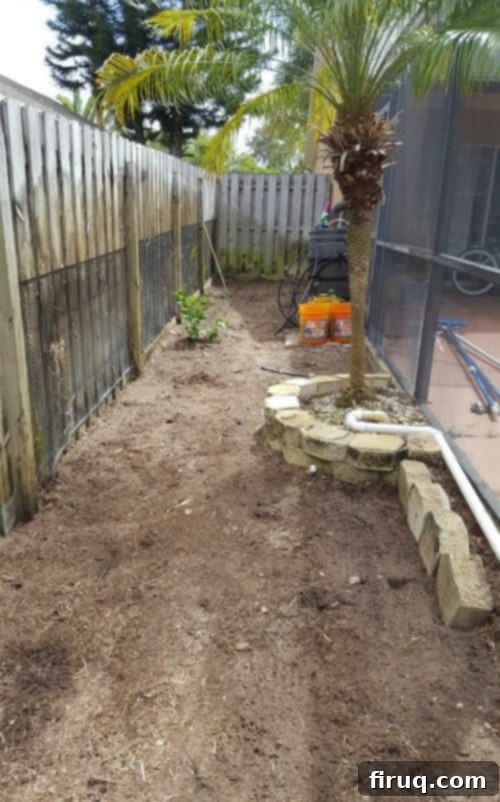 From Barren Patch to Bee Utopia 5 My Garden Transformation: From Trainwreck to Bee Haven