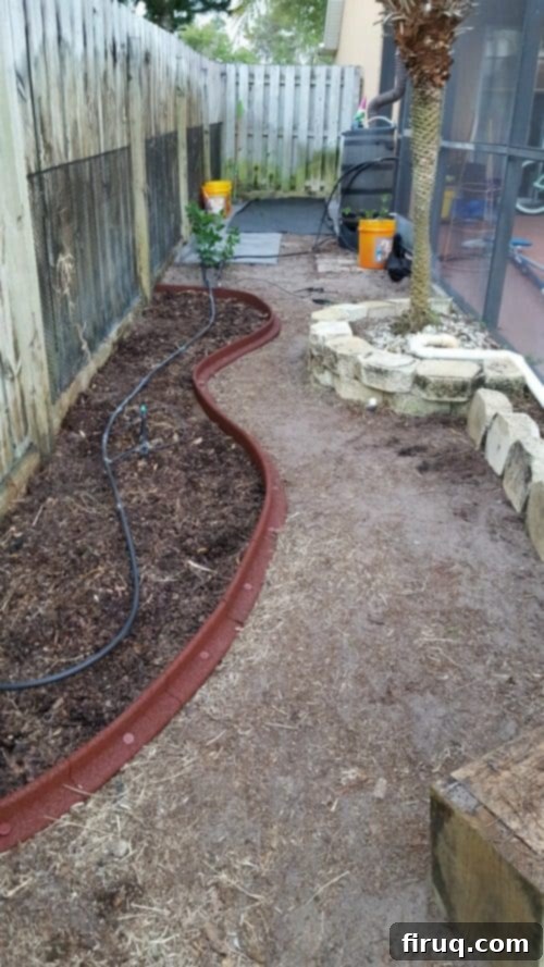 From Barren Patch to Bee Utopia 9 My Garden Transformation: From Trainwreck to Bee Haven