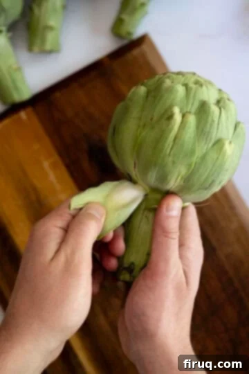 Perfectly Easy Steamed Artichokes 3 peeling leaves off at the base of an artichoke