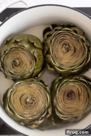 Perfectly Easy Steamed Artichokes 6 perfectly steamed artichokes after cooking, ready to be served