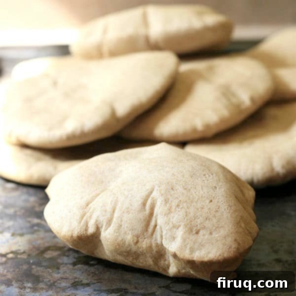 Hearty Whole Grain Pita Pockets 2 img 1501 10