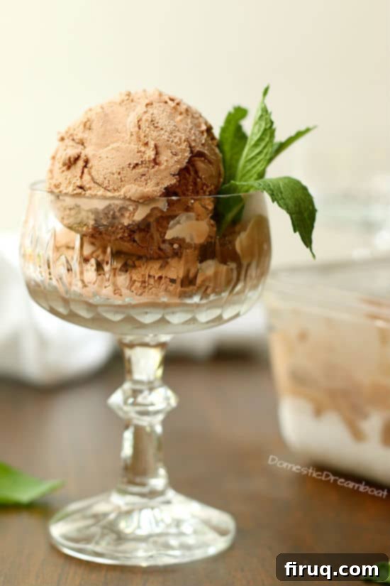Dairy-Free Chocolate Coconut Ice Cream Dairy Free Chocolate Coconut Ice Cream