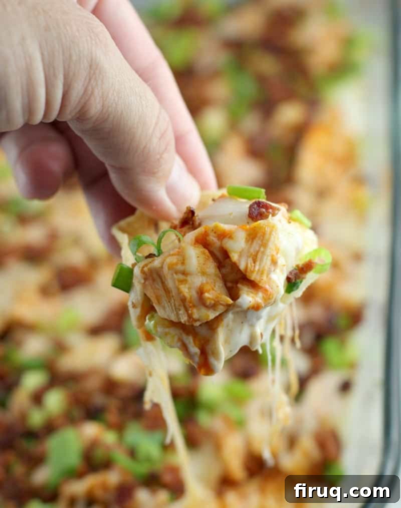 Loaded Buffalo Bacon Chicken Dip 5 Close-up view of a hand scooping up the juicy buffalo chicken dip with a tortilla chip, showing the texture and vibrant colors of the chicken and sauce, with melted cheese and bacon.