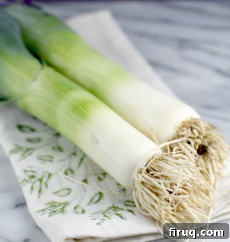 Gluten-Free Velvet Spinach & Leek Rotini 4 2 leeks on a cloth napkin