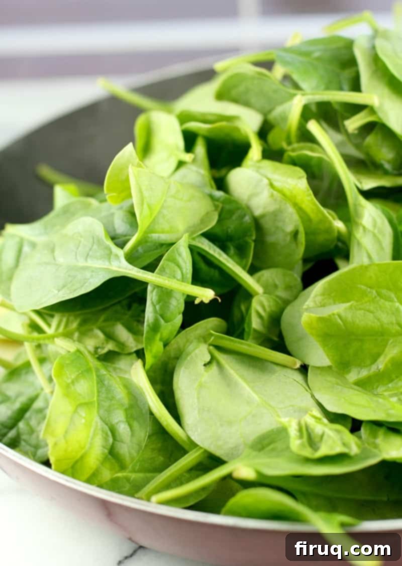 Gluten-Free Velvet Spinach & Leek Rotini 6 spinach leaves in a skillet
