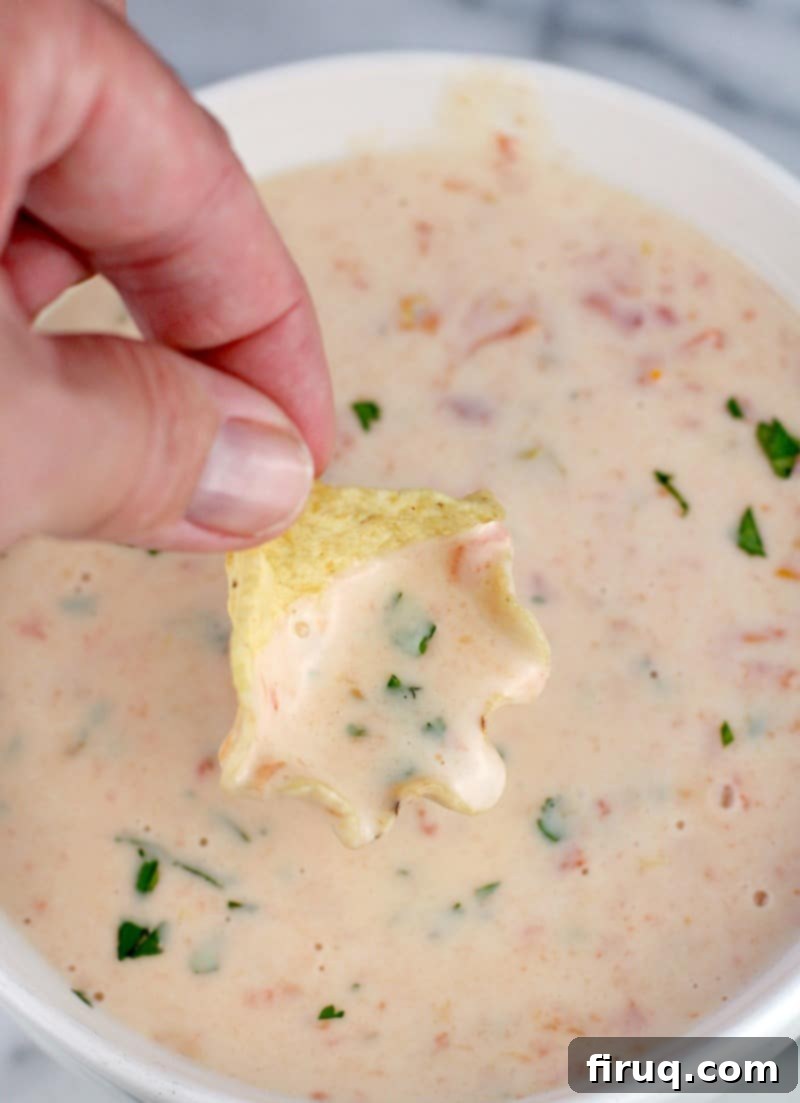 Dip into Blanco Bliss 2 hand holding a scooped up bit of white cheese dip in a chip