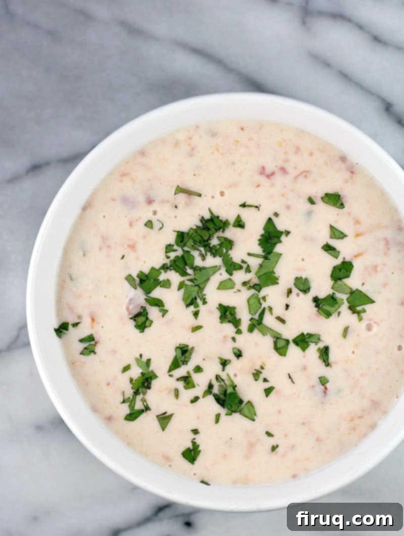 Dip into Blanco Bliss 3 top down view of a bowl full of white queso dip, cilantro scatter on top, bowl is on a marble surface
