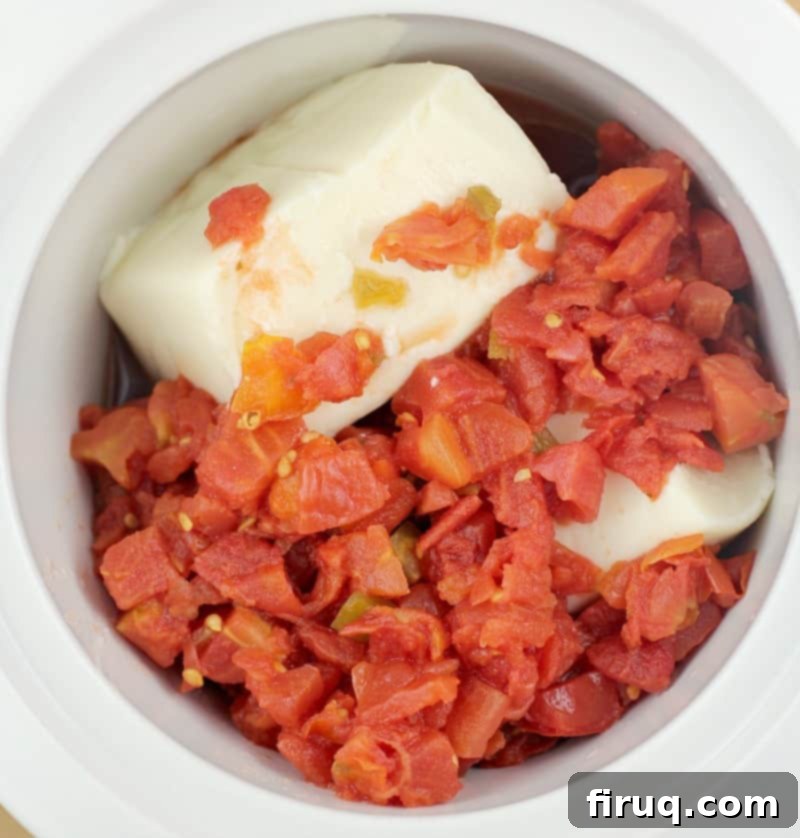 Dip into Blanco Bliss 4 top down view into the slow cooker with rotel and queso blanco velveeta before heating