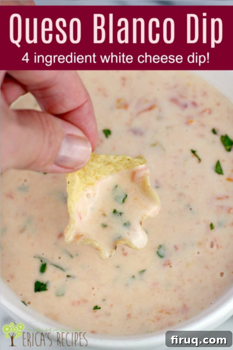 Dip into Blanco Bliss 7 Image for Pinterest with text overlay of recipe title Queso Blanco Dip