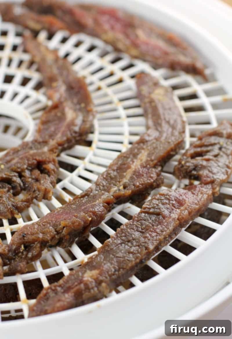 Homemade Beef Jerky Made Easy 8 teriyaki jerky strips on white dehydrator rack