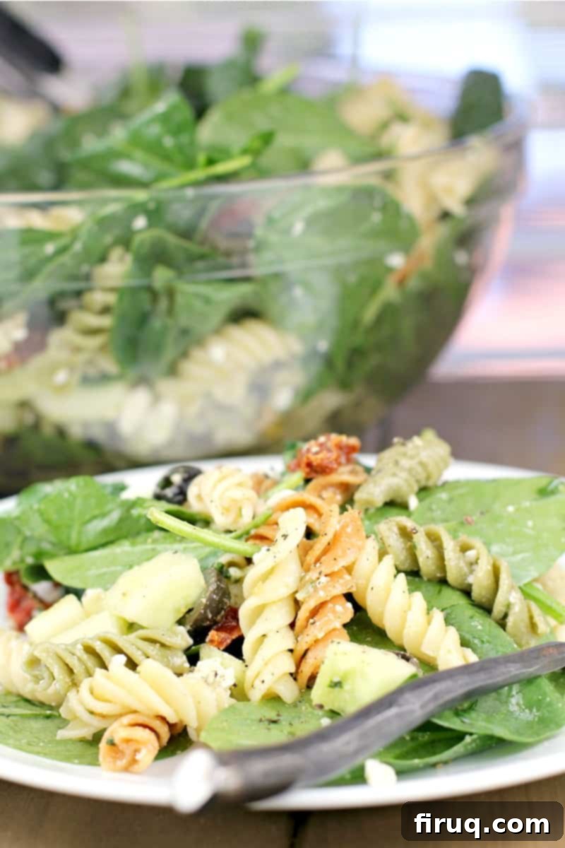 Vibrant Spinach Rotini Pasta Salad 2 rotini pasta salad on spinach, plated on white plate, salad bowl in the background