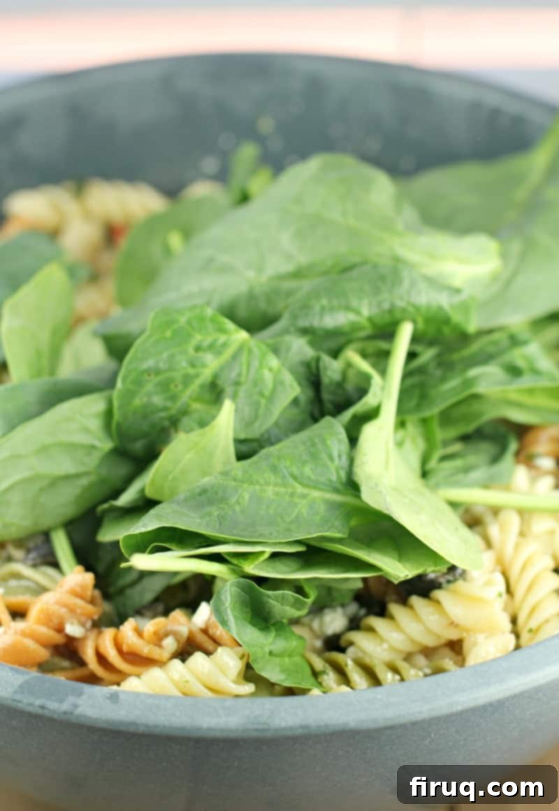 Vibrant Spinach Rotini Pasta Salad 7 spinach sitting on pasta salad