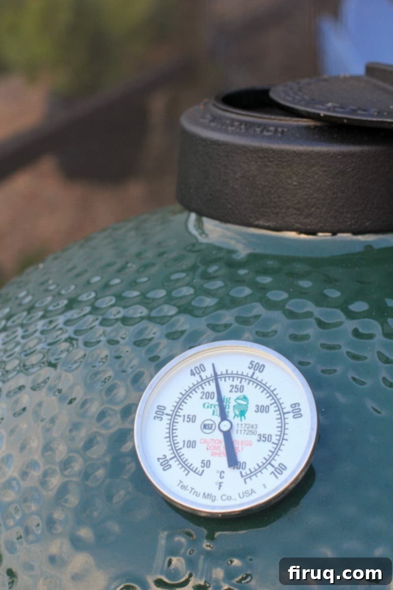Grilled Green Bean Casserole with Crispy Bacon 5 A grill thermometer indicating a steady cooking temperature of 425 degrees Fahrenheit, ideal for grilling casserole.