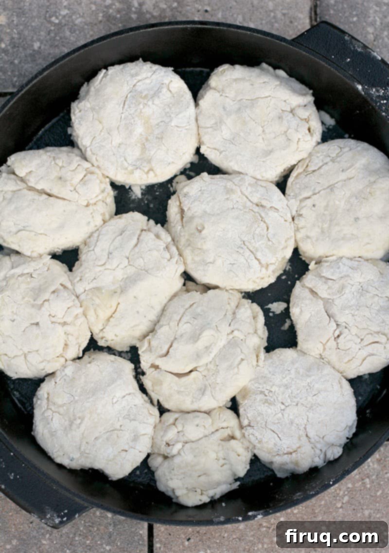 Aromatic Grilled Honey Thyme Biscuits 8 Close-up of a rustic cast iron pan filled with golden-brown grilled biscuits and fresh thyme.