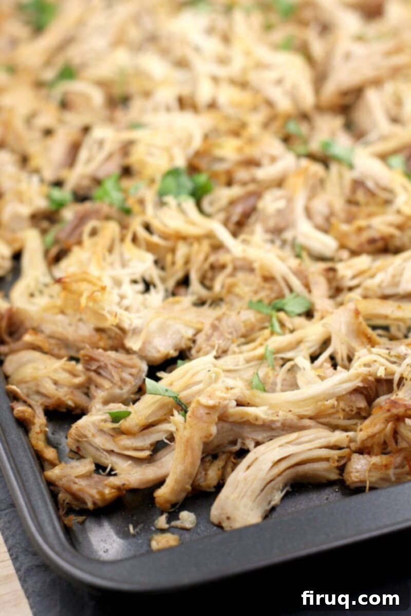 Instant Pot Chicken Carnitas 2 shredded chicken carnitas on a bake sheet