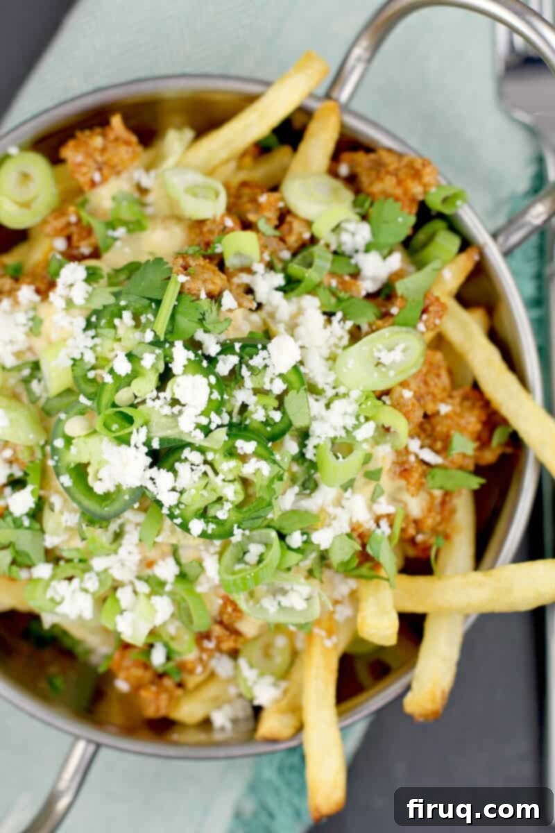 Smoked Cheddar Chile Queso Mexican Poutine 2 top down view of Mexican poutine in a metal dish on a blue napkin