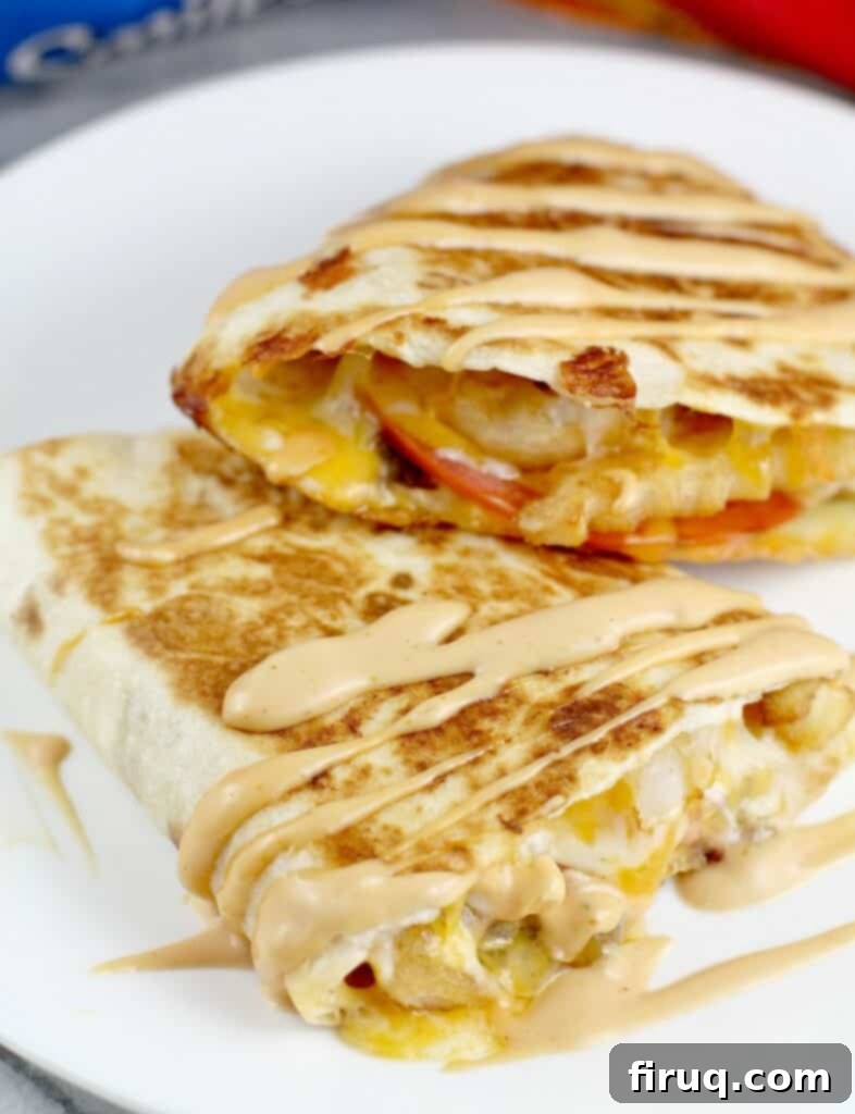 Smoked Cheddar Chile Queso Mexican Poutine 13 finished quesadilla, close view with burger sauce drizzled over