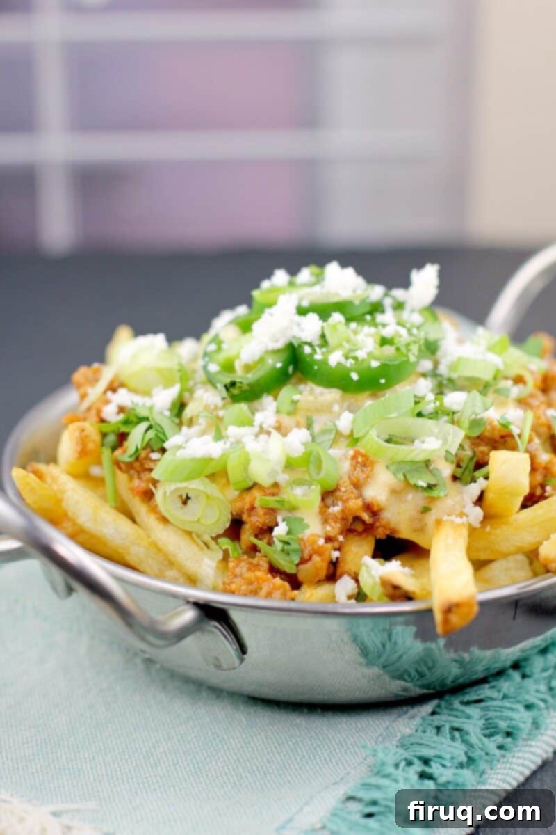 Smoked Cheddar Chile Queso Mexican Poutine 3 side view poutine in a metal dish
