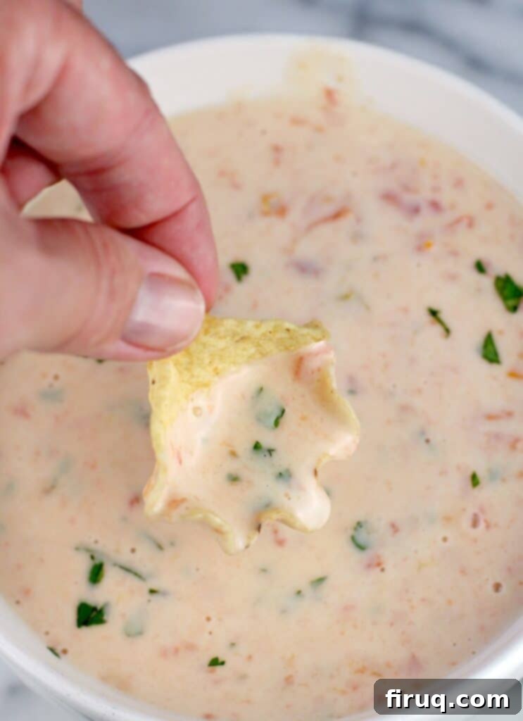 Smoked Cheddar Chile Queso Mexican Poutine 9 hand holding a scooped up bit of white cheese dip in a chip