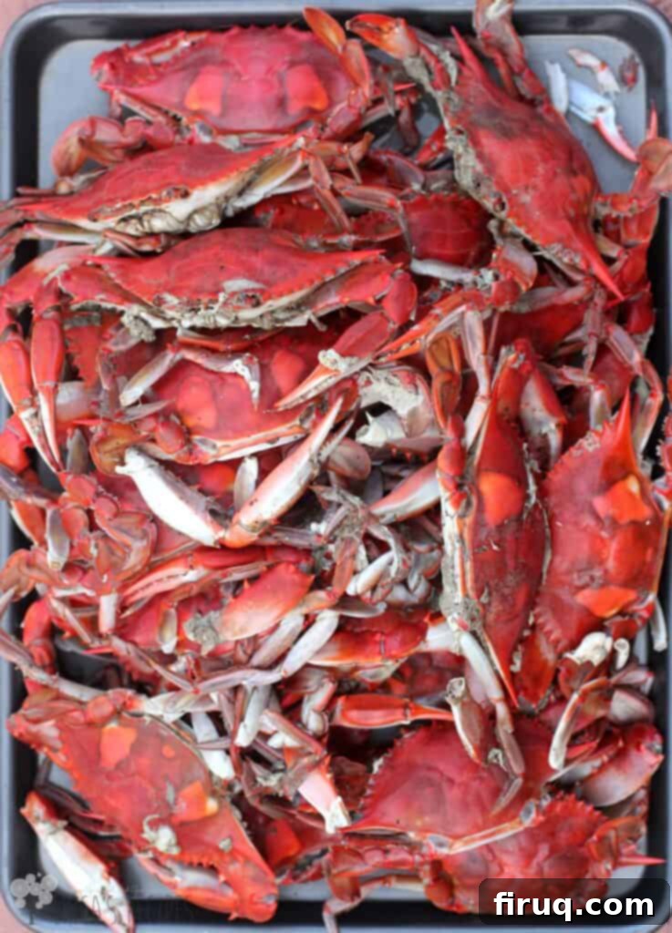 Crab-Filled Mushroom Caps 6 Classic Steamed Blue Crabs