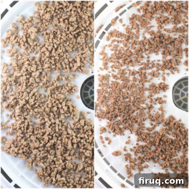 Adventure Sloppy Joes 4 collage of 2 photos: left, cooked ground beef; right, dehydrated beef