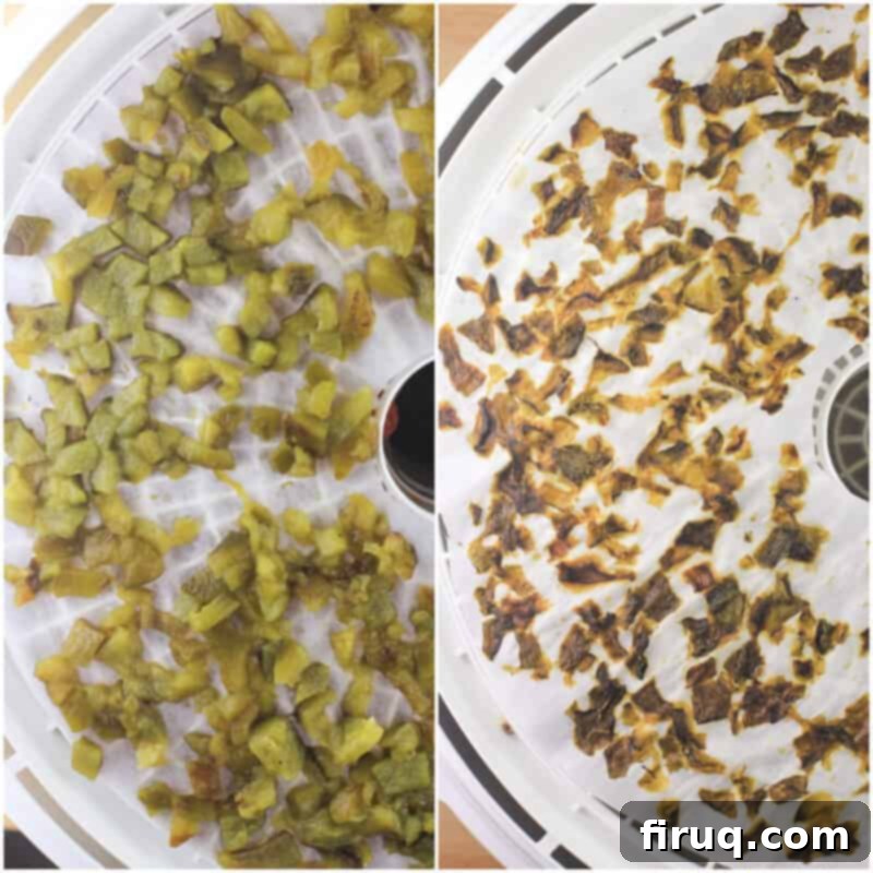 Adventure Sloppy Joes 5 collage of 2 photos: left, roasted bell pepper; right, dehydrated pepper