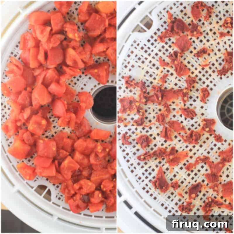 Adventure Sloppy Joes 6 collage of 2 photos: left, diced tomato; right, dehydrated tomato