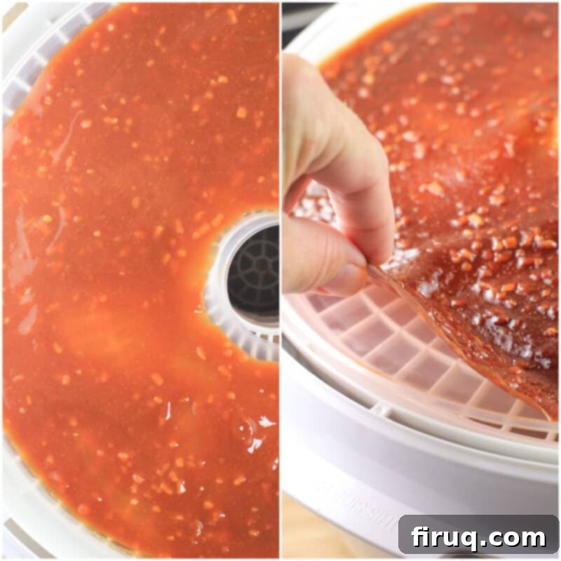 Adventure Sloppy Joes 7 collage of 2 photos: left, mixed sauce; right, dehydrated sauce leather