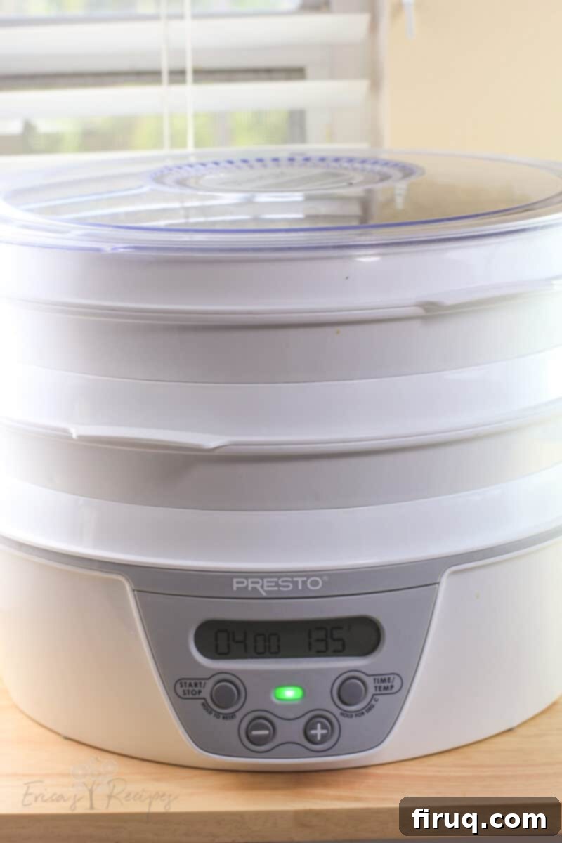 Adventure Sloppy Joes 8 operating dehydrator