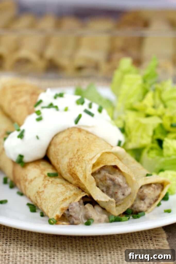 Prosciutto and Cheese Crepes 9 beef stroganoff crepes on a dish, topped with sour cream with a side of salad