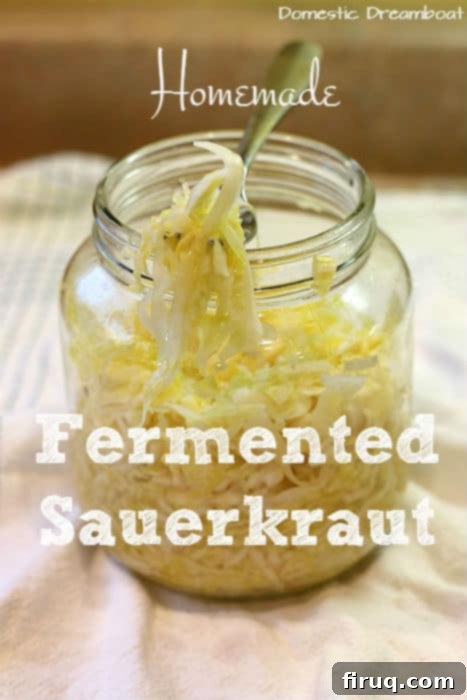 Handcrafted Fermented Sauerkraut 2 img 2453 8