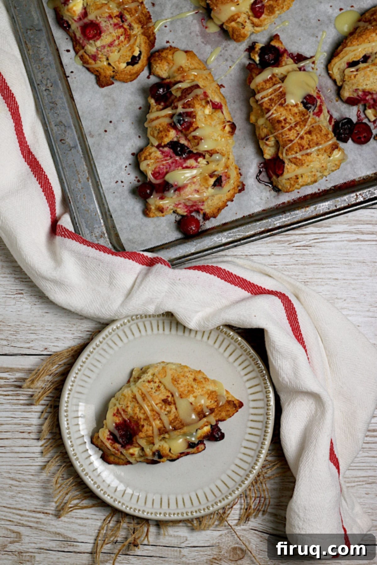 Cranberry Orange Scone with White Chocolate on a Plate An overhead photo of a Cranberry Orange Scone with White Chocolate on a small white plate, showing the texture and ingredients.