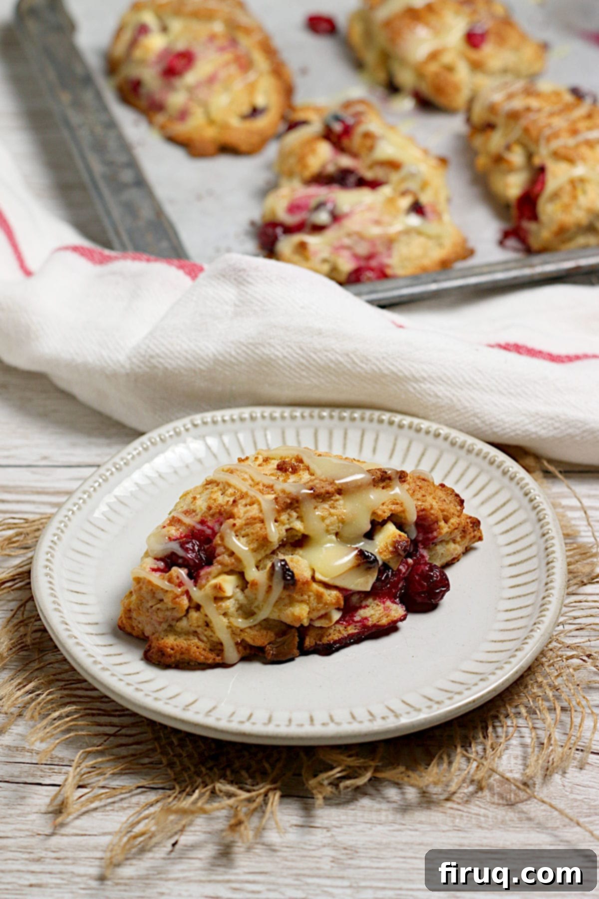 Single Cranberry Orange Scone A single Cranberry Orange Scone with White Chocolate on a small white plate, ready to be enjoyed.